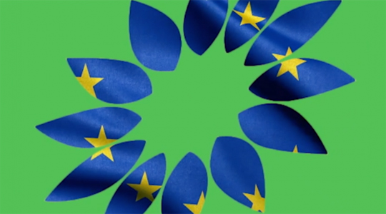 31st Council of the European Greens